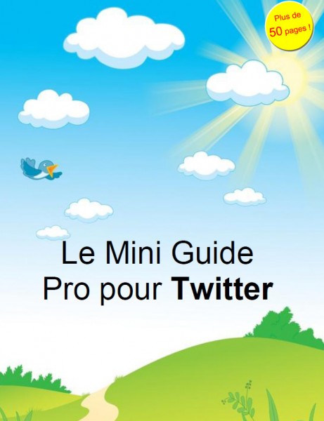 Le Mini Guide Pro pour Twitter