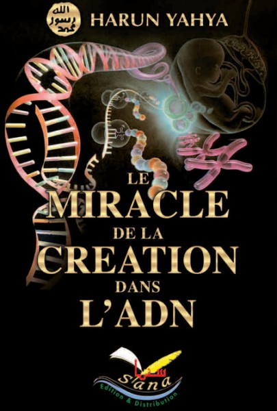 Le miracle de la création dans l’ADN