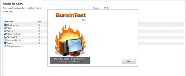 BurnInTest Professional v8.1 Build 1013 Final