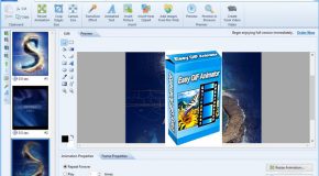 Easy GIF Animator 6.2