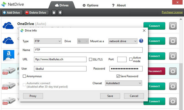 netdrive portable