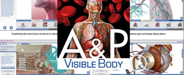 Visible Body Anatomy and Physiology 1.5.04