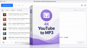 4K YouTube to MP3 v26.1.5 + Portable