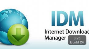 Internet Download Manager 6.25 Build 24