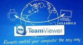 TeamViewer Corporate v11.0.63017.0 FR + Portable
