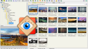 Faststone Image Viewer v6.0 + Portable