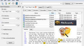 FileSearchy V1.43 Portable