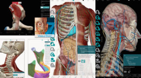 Atlas d’anatomie humaine 3D 7.4.03