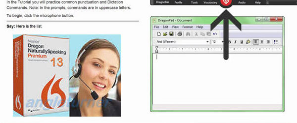 Dragon Naturally Speaking Premium 13.0