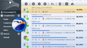 EagleGet 2.0.4.18 + Portable