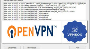 OpenVPN 2.3.13