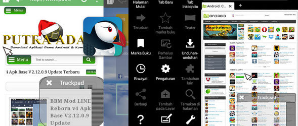 Puffin Browser Pro v4.8.0.2790