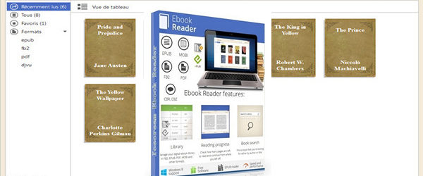 Icecream Ebook Reader Pro 6.43 + Portable