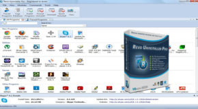 Revo Uninstaller Professional v3.1.8 + Portable