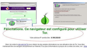 Tor Browser version 6.07