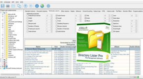 Directory Lister Pro Enterprise 2.42 + Portable