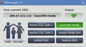 Dns Angel 1.5 portable