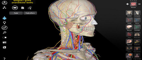 3D Organon Anatomy 3.0.0 Portable