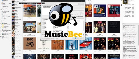 MusicBee 3.1.6466 + Portable