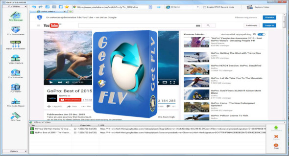 GetFLV Pro 9.5188.126