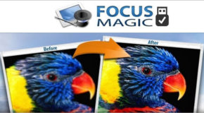 Focus Magic 6.00d + Portable