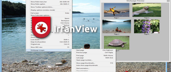 IrfanView 4.51 Commercial