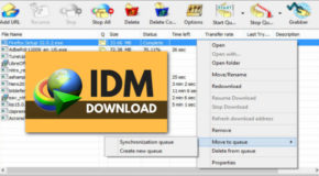 Internet Download Manager 6.31 Build 3