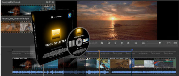 SolveigMM Video Splitter Business 7.6.2104.15