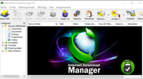 Internet Download Manager 6.31 Build 7 + Portable