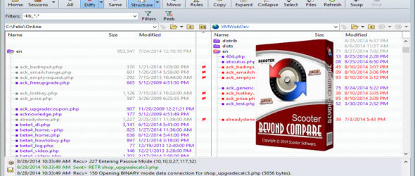 Beyond Compare 4.4.0 Build 25886 + Portable