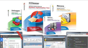 CCleaner Professional Plus Portable 6.01