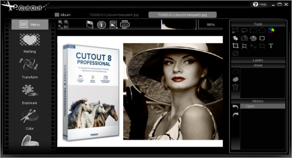cutout 8 professional review