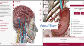 Human Anatomy Atlas v7.4.01