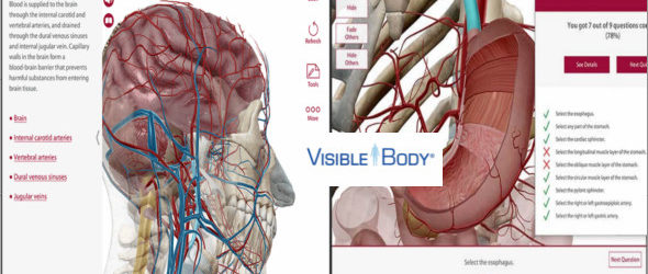 Human Anatomy Atlas v7.4.01