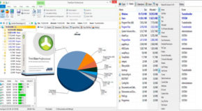 TreeSize Professional v9.1.2.1873 + Portable