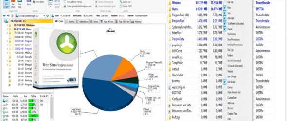 TreeSize Professional v9.1.2.1873 + Portable