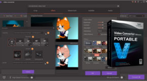 Video Converter Ultimate 10.4.2.194 Portable