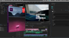 Adobe Premiere Pro CC 2019 v13.1.3.42 + Portable