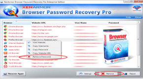 Browser Password Recovery Pro Enterprise 3.5.0.1