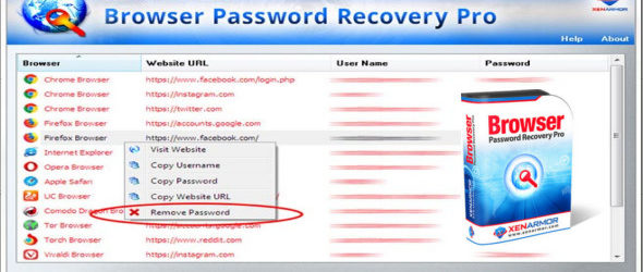 Browser Password Recovery Pro Enterprise 3.5.0.1