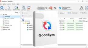 GoodSync v12.9.16.6 (x64)
