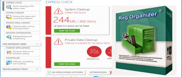 Reg Organizer 8.91 + Portable