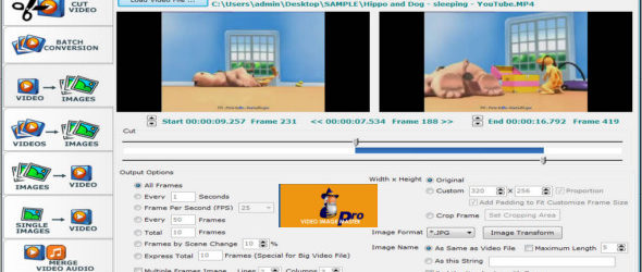 Video Image Master Pro 1.2.8