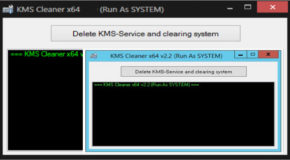 KMS Cleaner 2.2 Portable