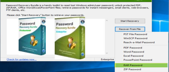 Password Recovery Bundle 5.6 Enterprise + Pro