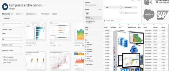 Tableau Desktop Professional 2019.1.3