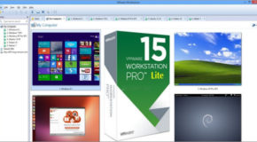 VMware Workstation Lite 15.0.4 Build 1299