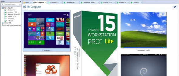 VMware Workstation Lite 15.0.4 Build 1299