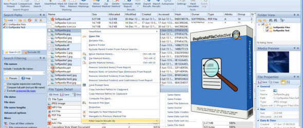Duplicate File Detective Pro 7.0.71.0