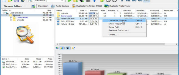 Folder Size Professional 4.5.0.0 + Portable